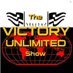 VU Logo Insert AAA
